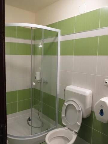 Фото номера Трехместный номер Мотели Cabana Deltei г. Şagu 8